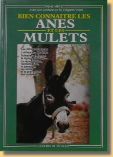 Bien connaitre les nes et les mulets